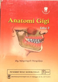 Image of Anatomi Gigi