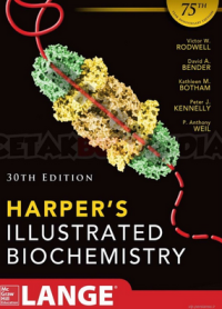 Image of Harper's Illustrated Biochemistry Edisi 30