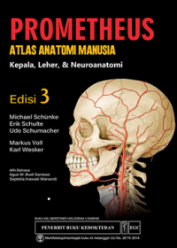 Image of Prometheus Atlas Anatomi Manusia: Kepala, Leher, & Neuroanatomi