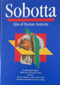 Image of Sobotta: Atlas Of Human Anatomy Volume 2